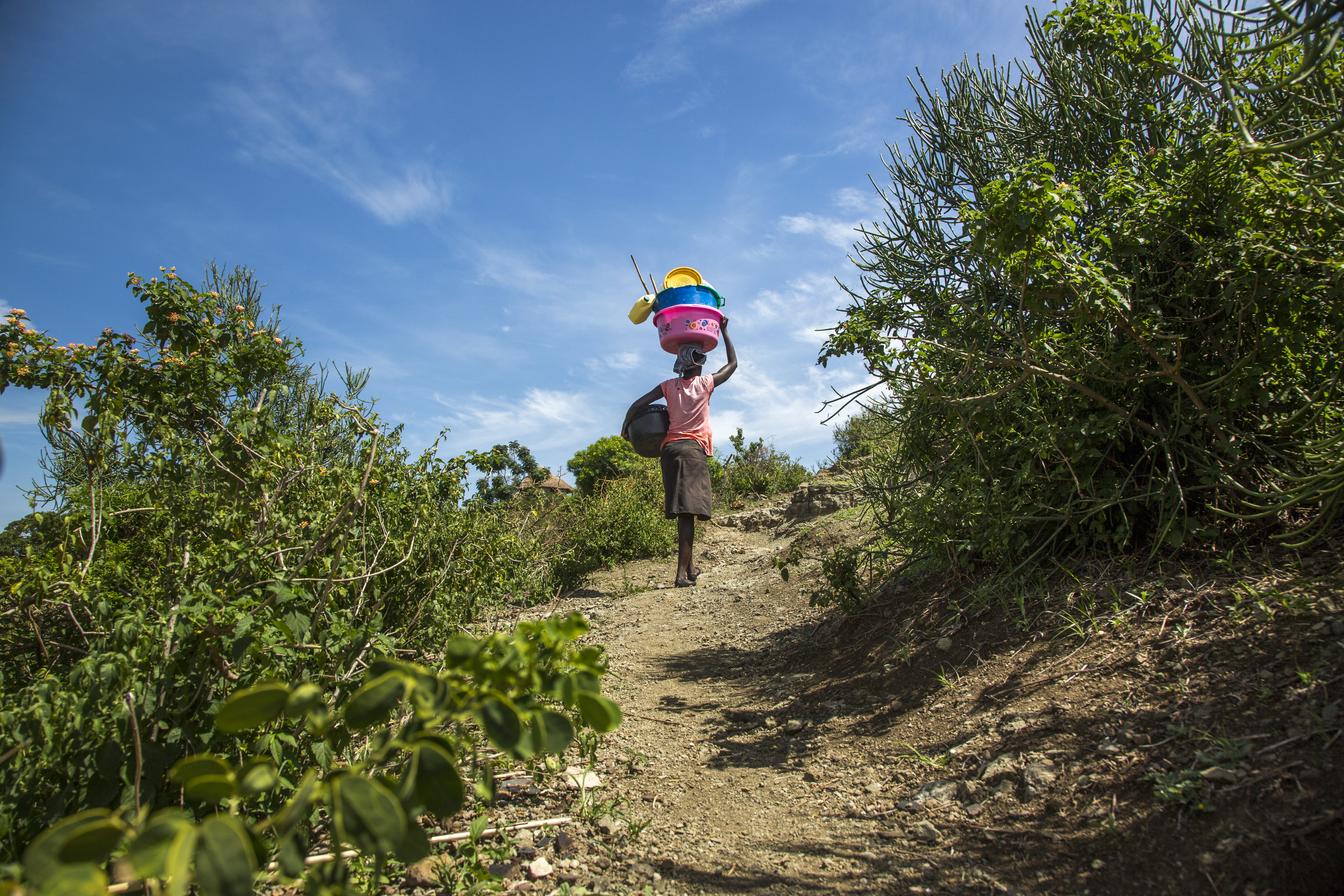 Water sanitatie hygiëne dossier