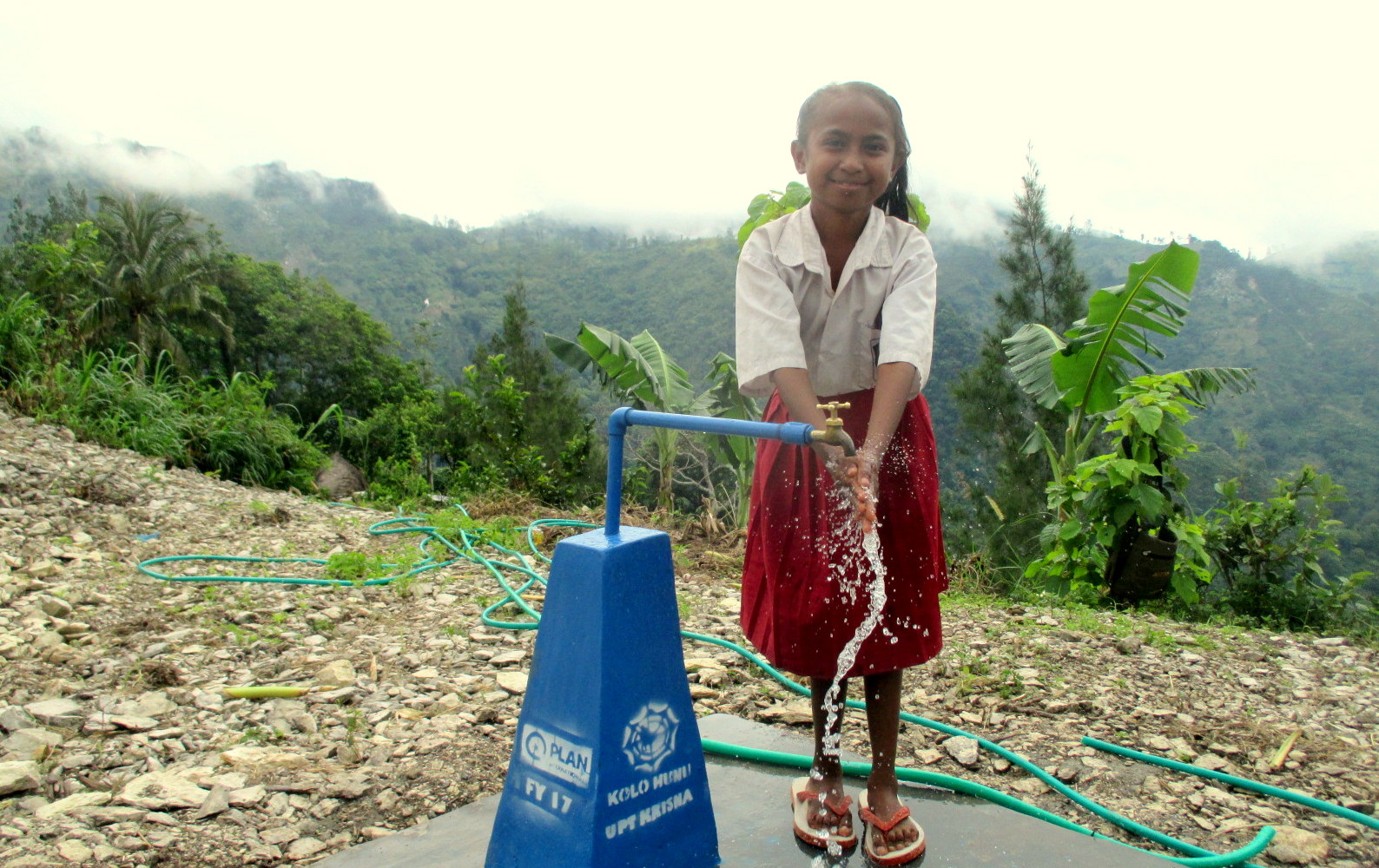 oorzaken en gevolgen WASH