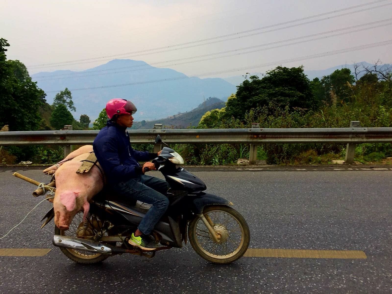 Cycle for Plan Vietnam blog