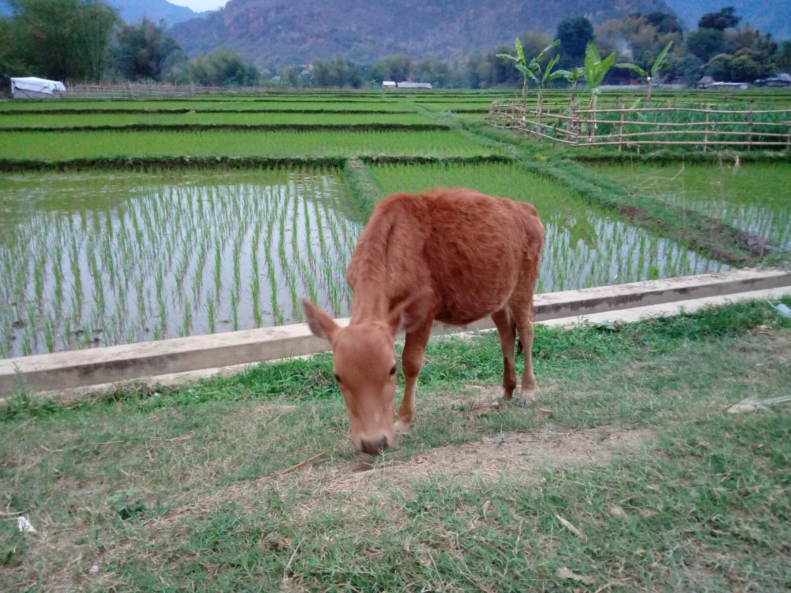 Cycle for Plan Vietnam blog