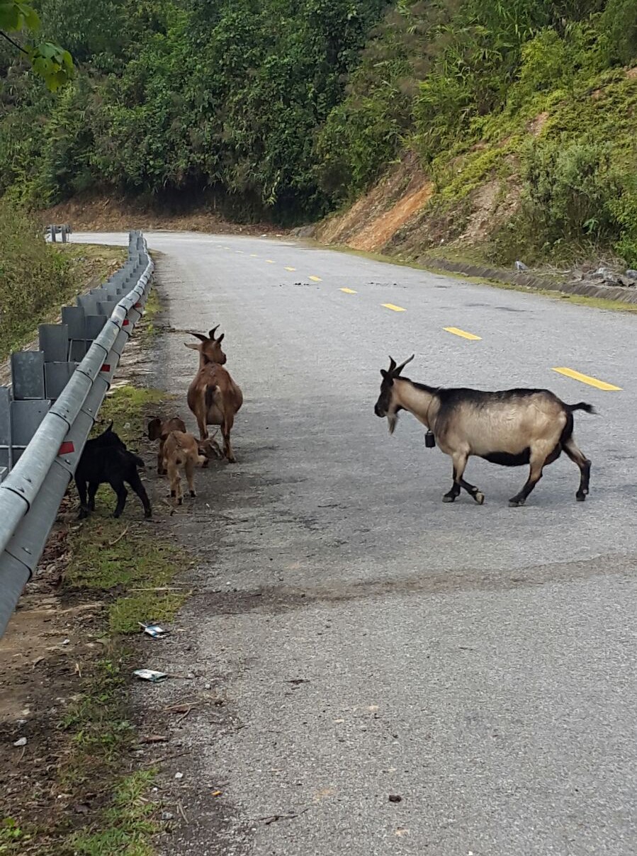 Cycle for Plan Vietnam blog