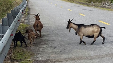 Cycle for Plan Vietnam blog