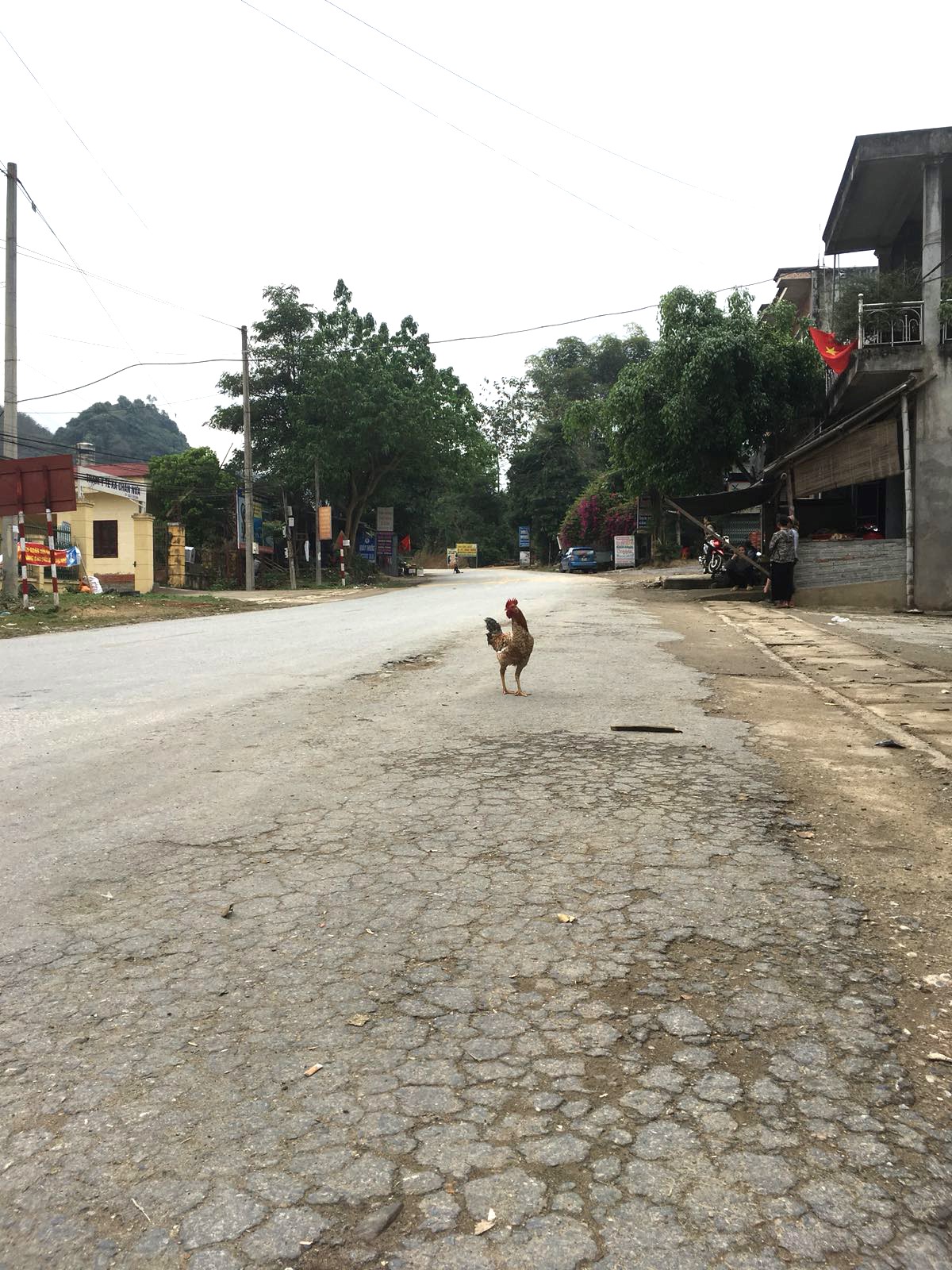 Cycle for Plan Vietnam blog