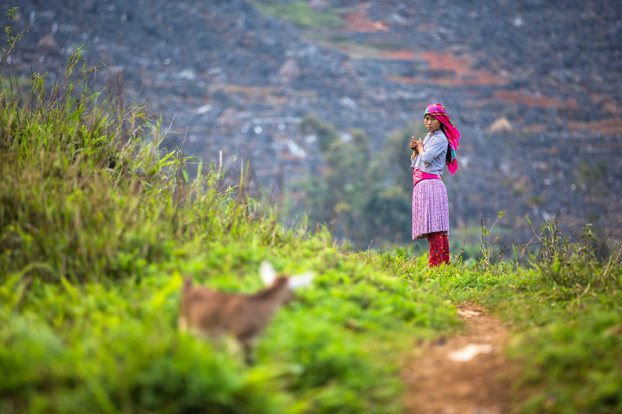 meisje Vietnam in veld ontvoerd kindbruid