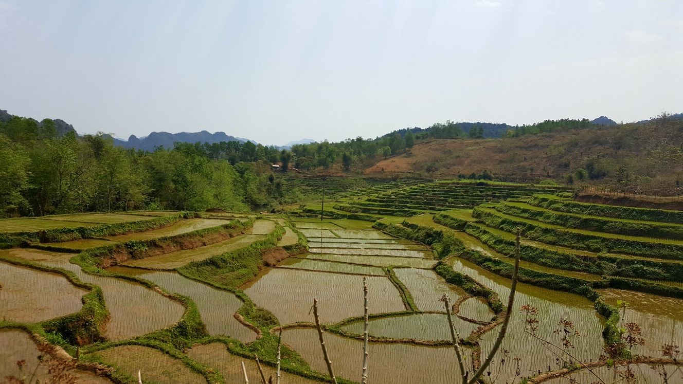 Cycle for Plan blog Vietnam