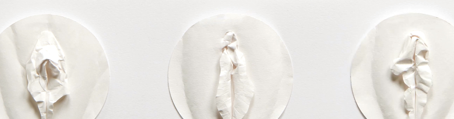 FGM Meisjesbesnijdenis Informatievideo