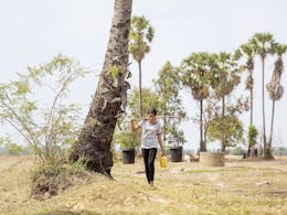 Klimaatverandering Cambodja