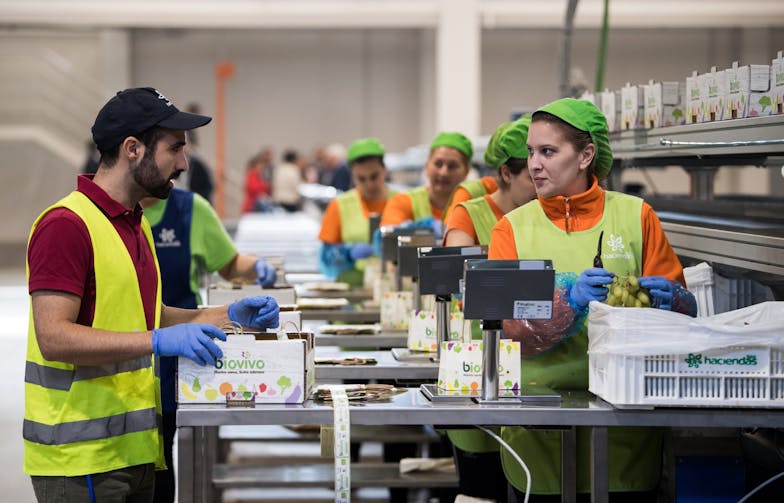 In Merida, Spanje sorteren en verpakken werknemers biologische appels_2018 ANP