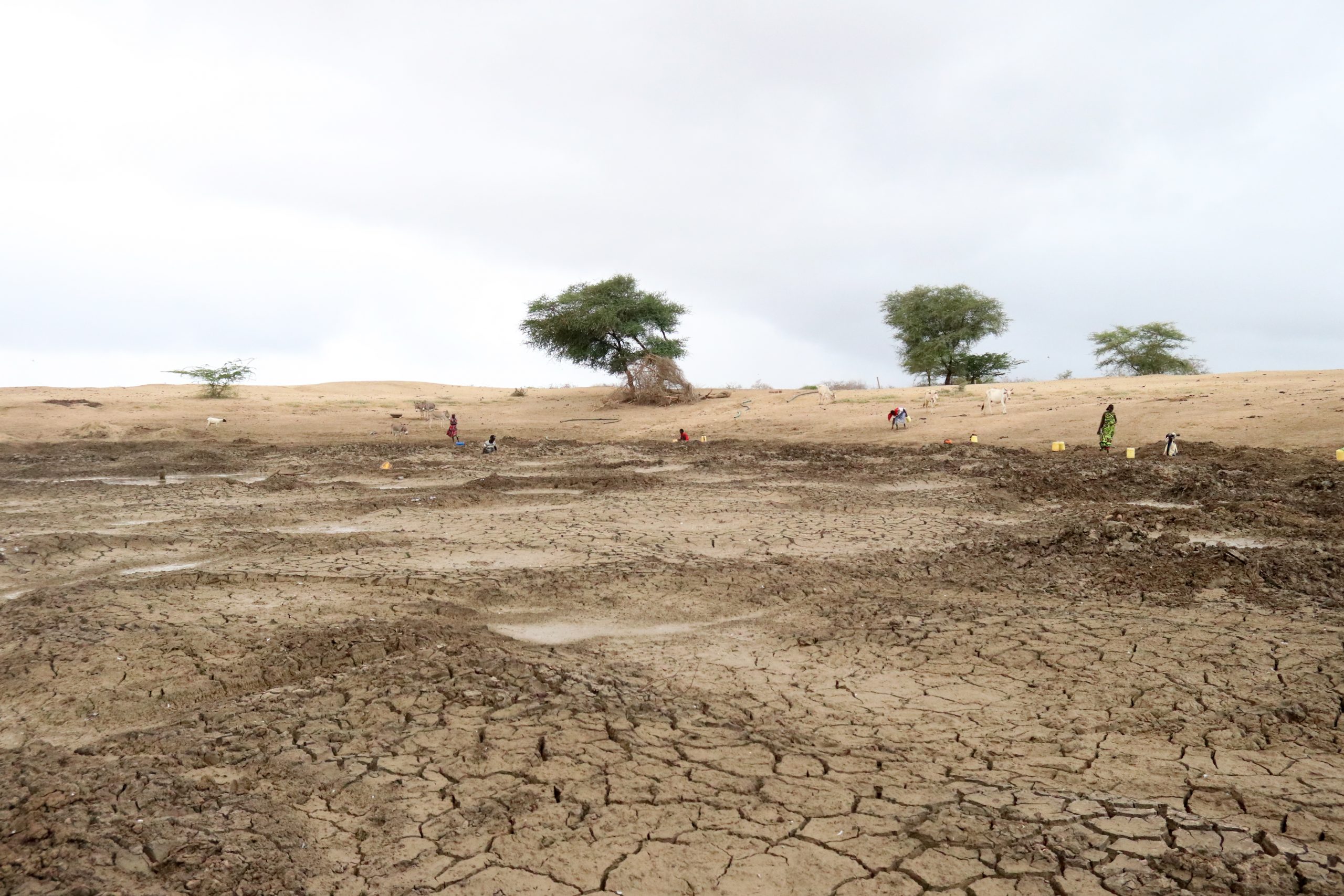 Drooggevallen meer in Kenia