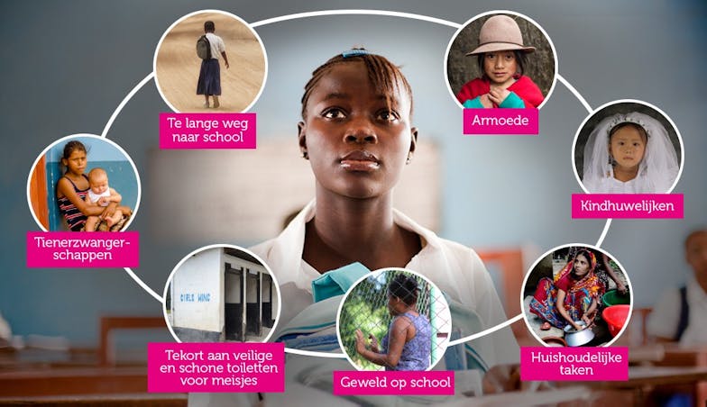 Infographic onderwijs onderwijs