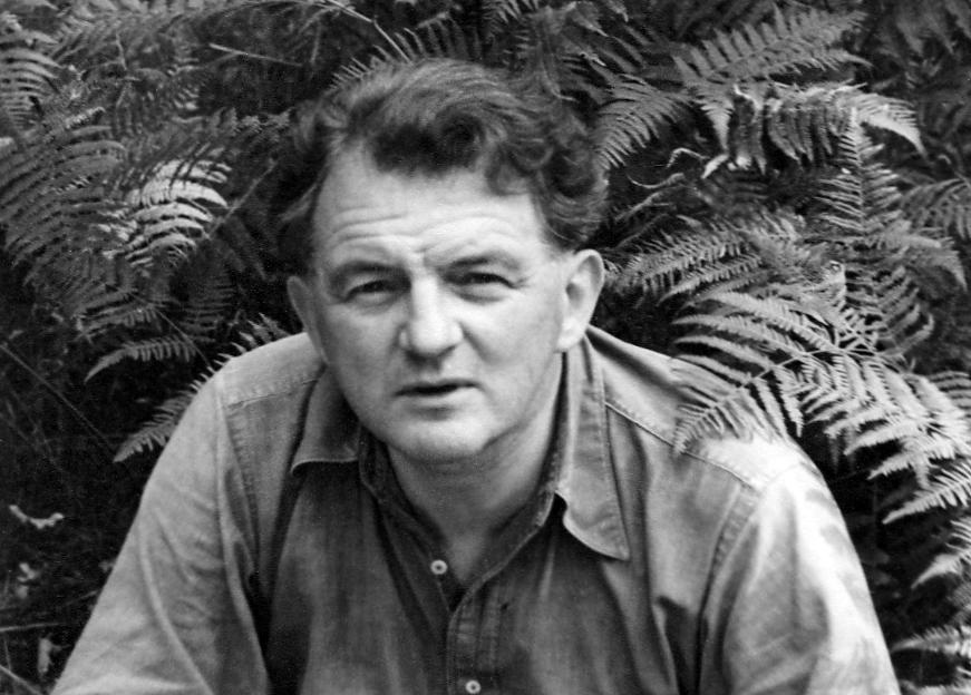 foster parents plan schandaal