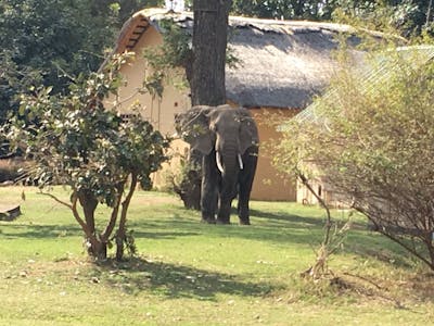 Volg Zambia blog
