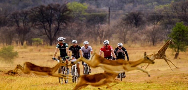 Cycle zambia