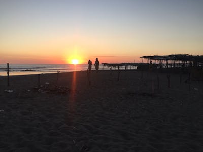 cycle for plan Las Penitas strand