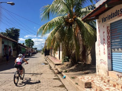 cycle for plan teamgenoot
