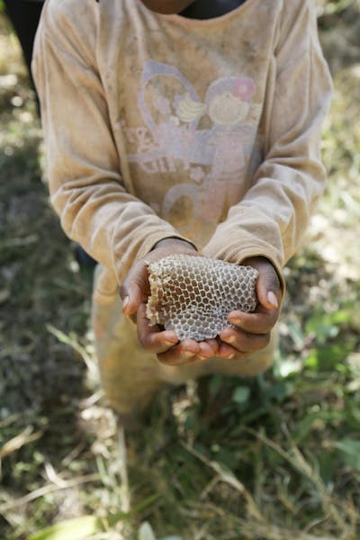 imker ethiopie