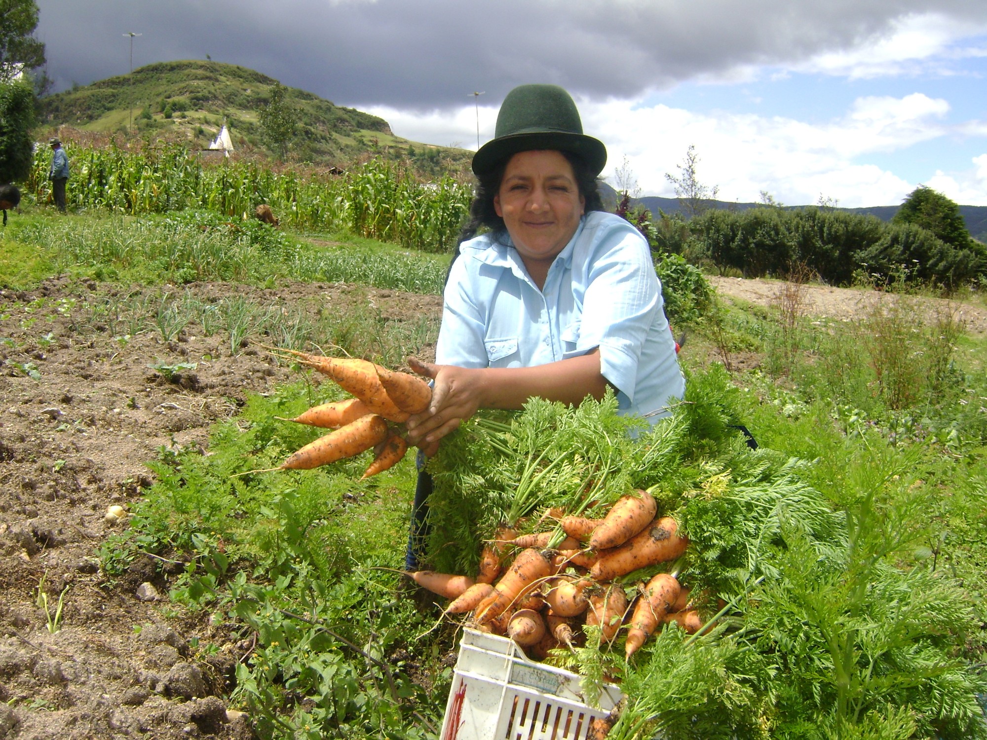 microfinancieringsproject paraguay