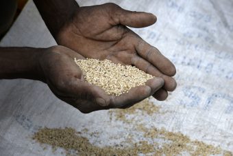 verhaal droogte ethiopie