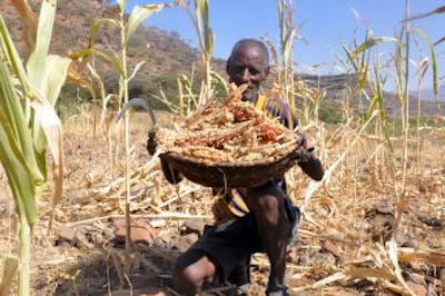 verhaal ethiopie droogte
