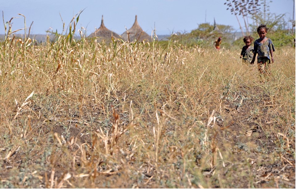 Droogte Ethiopie