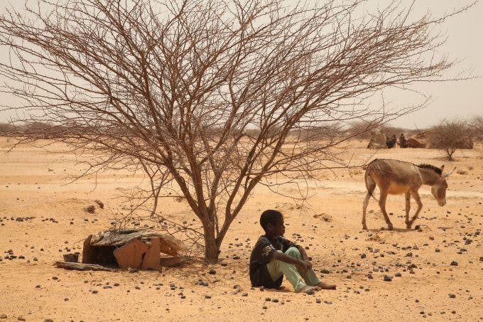 ondervoeding oost afrika