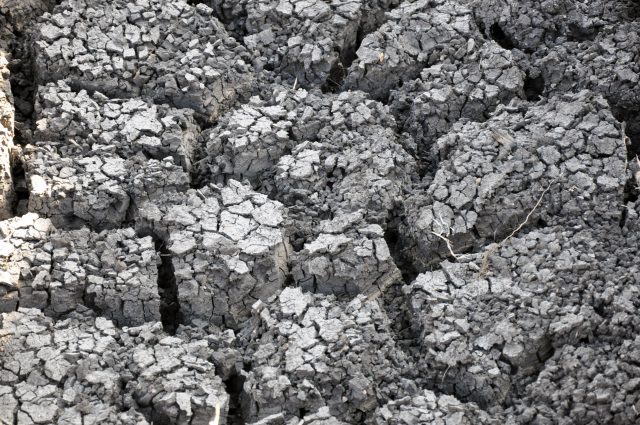 ondervoeding oost afrika