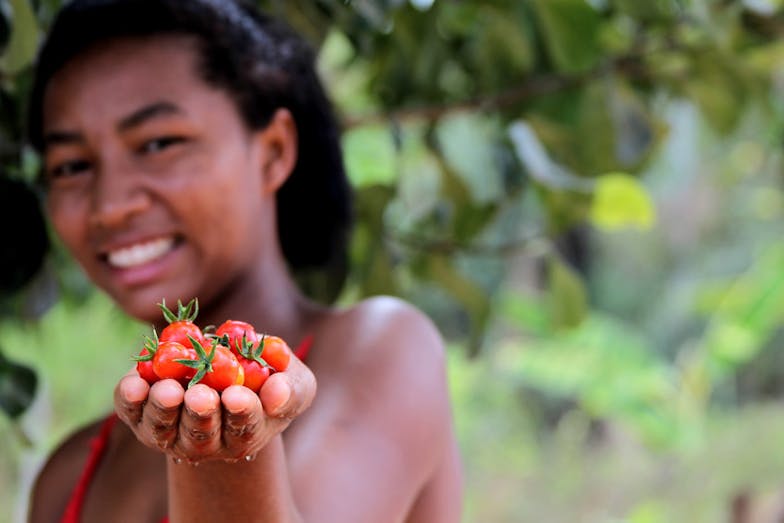 201601-BRA-17-scr moestuin brazilie